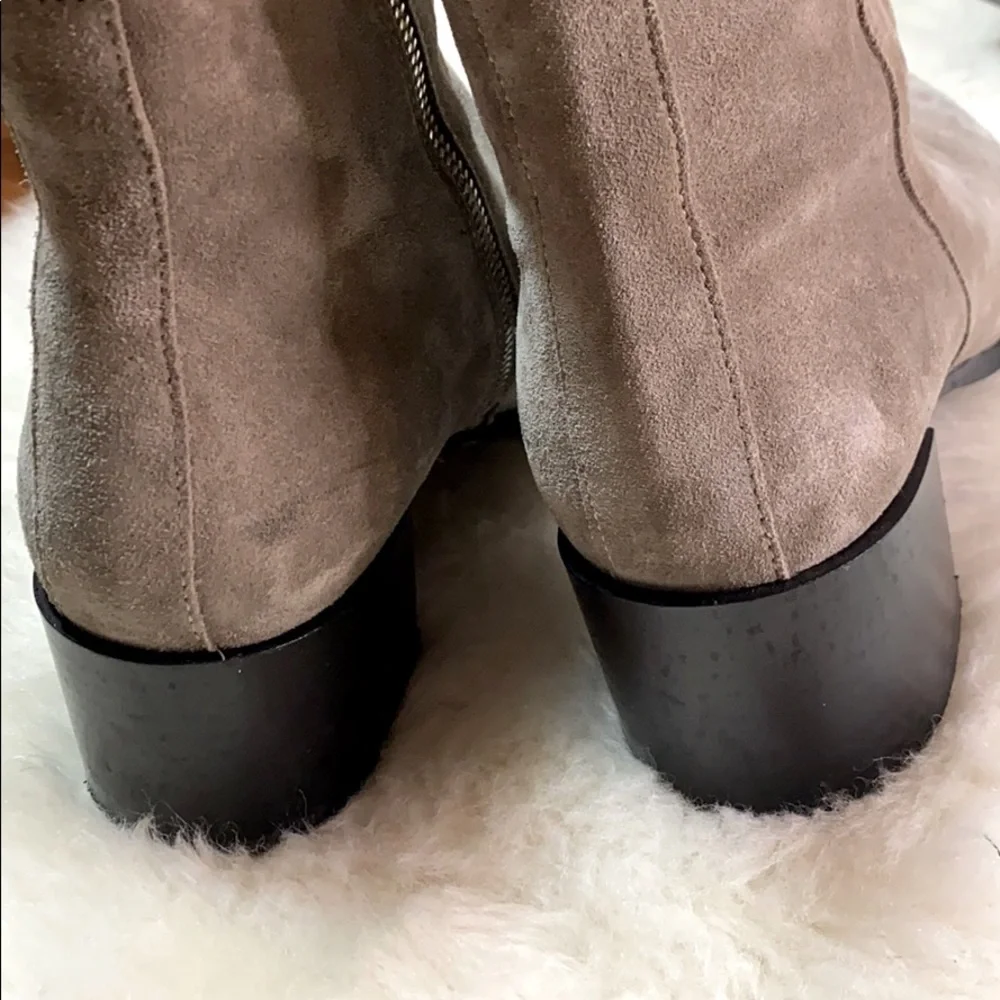 Everlane Taupe Suede Pointed-Toe Ankle Boots